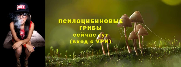 крисы Алексеевка