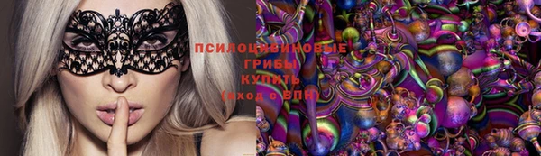 герыч Алексин