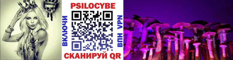 Псилоцибиновые грибы Psilocybe Ленинск-Кузнецкий