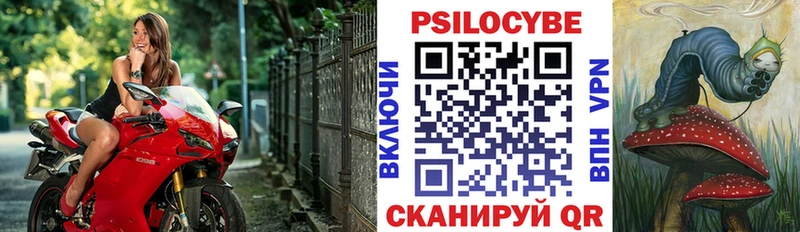 OMG ТОР  Ленинск-Кузнецкий  Псилоцибиновые грибы Psilocybine cubensis  дарнет шоп 